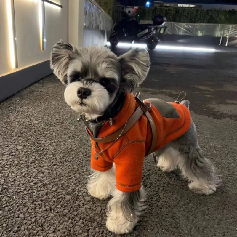 Pet Small Dog Autumn Clothing Two Feet Apparel Hooded Sweater - Image 5