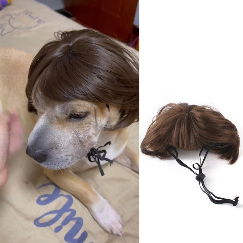 Halloween Christmas Wig Pet Hair Accessories - Image 5