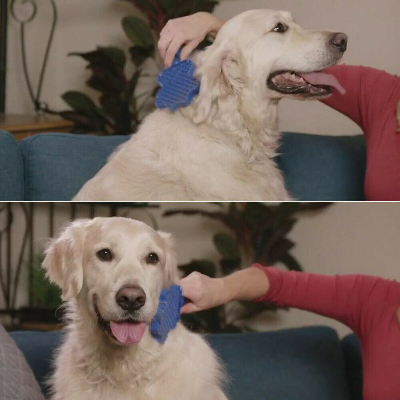 Pet Hair Remover Brush Gentle Pet Grooming Brush - Image 4