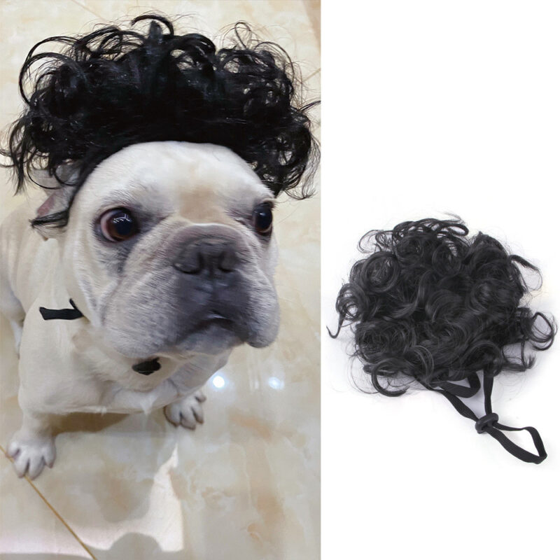 Halloween Christmas Wig Pet Hair Accessories - Image 2